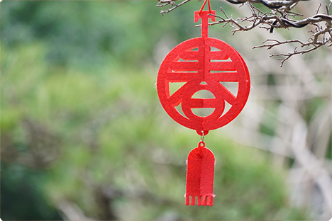 Wishing you a happy Spring Festival