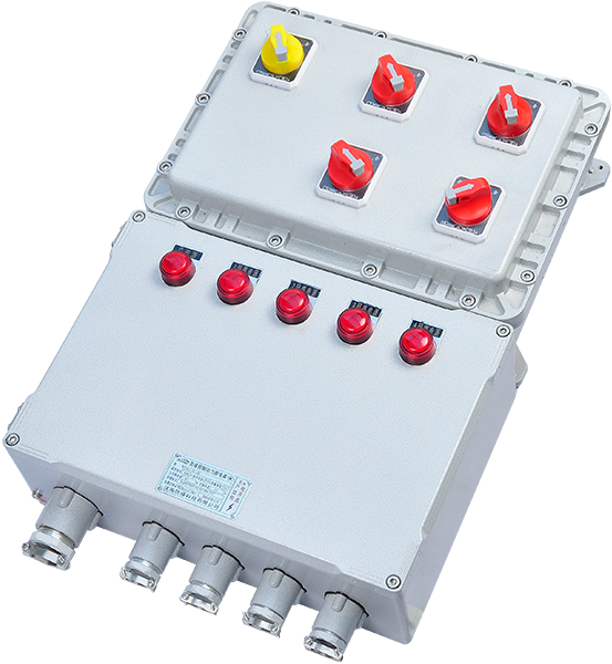 BX □ 51 series explosion-proof distribution device