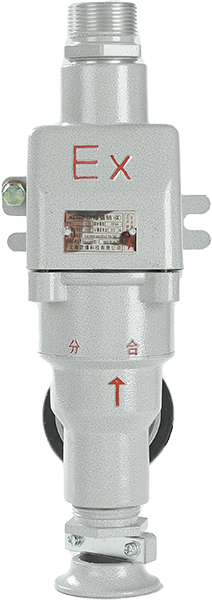 AC series explosion-proof plug