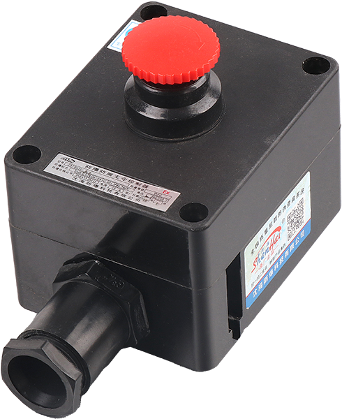 ZXF8030 series explosion-proof and anti-corrosion master controller