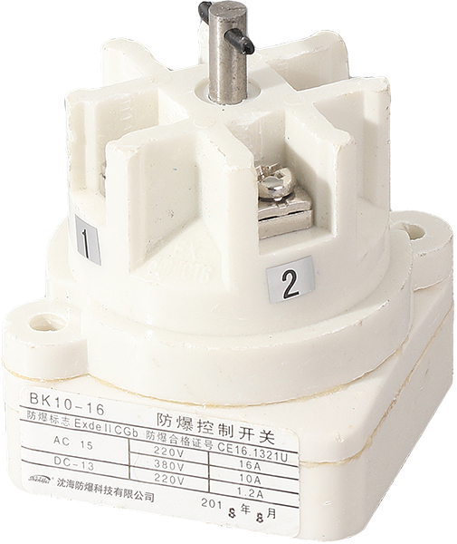 BK10 explosion-proof control switch